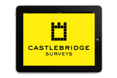 Castlebridge Surveys
